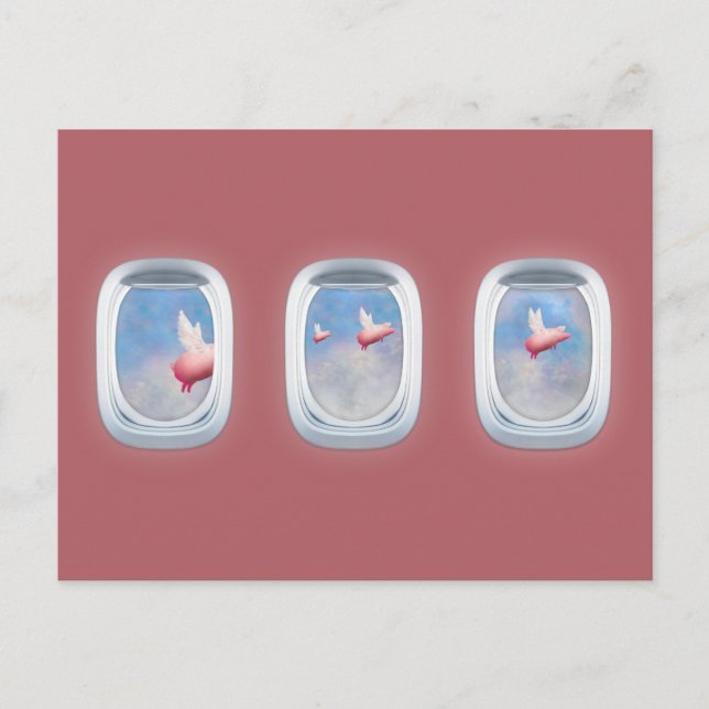 Schweine, die vorbei an Flugzeugfenstern fliegen Postkarte (Vorderseite)