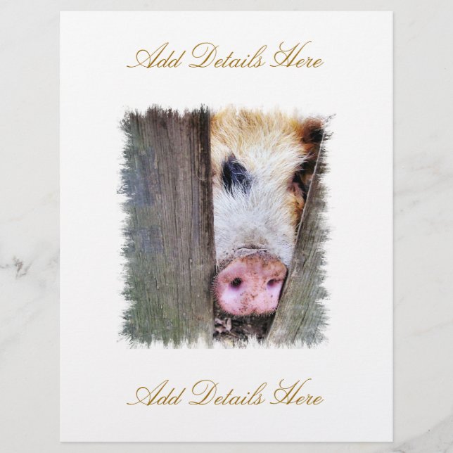 SCHWEINE FLYER (Vorne)