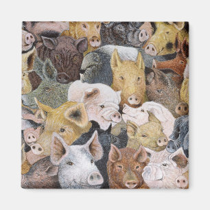 Schweine Galore Magnet