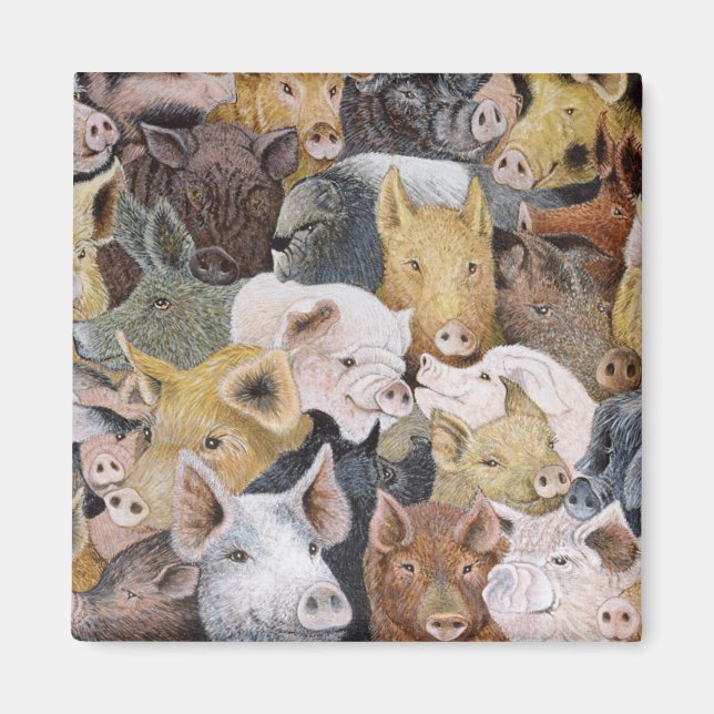 Schweine Galore Magnet (Vorne)