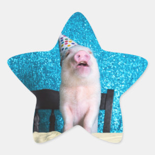 Schweine Geburtstagskleber! Stern-Aufkleber