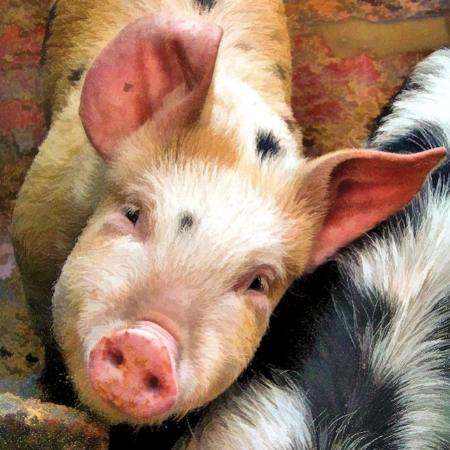 SCHWEINE GESCHENKPAPIER (Von Creator hochgeladen)