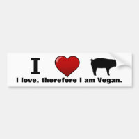 Schweine I <3 (Tierrecht-Mediumentwurf durch