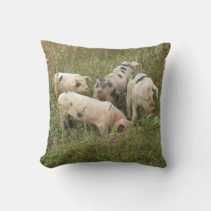 Schweine im Feldkissen Kissen