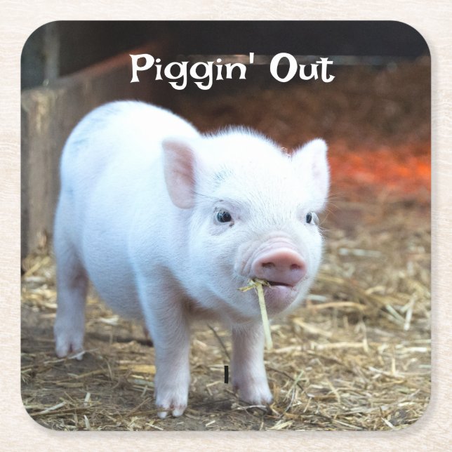 Schweine in der Landwirtschaft Rechteckiger Pappuntersetzer (Vorderseite)