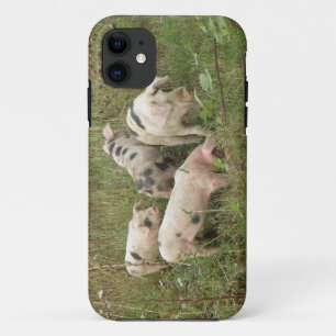 Schweine in einem Feld iPhone 5 Fall Case-Mate iPhone Hülle