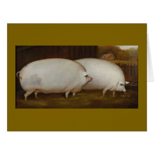 Schweine in Liebe