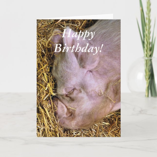 SCHWEINE KARTE (Vorderseite)