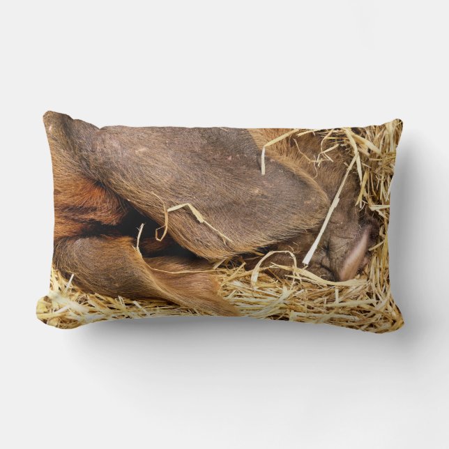 SCHWEINE LENDENKISSEN (Vorderseite)