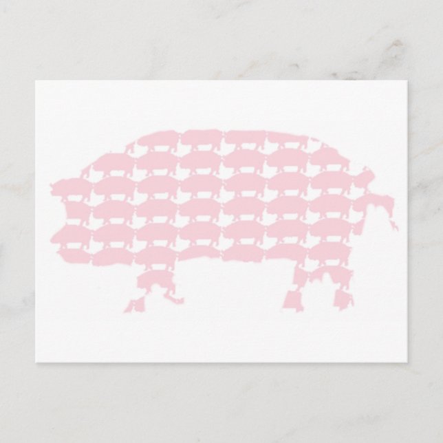Schweine Postkarte (Vorderseite)