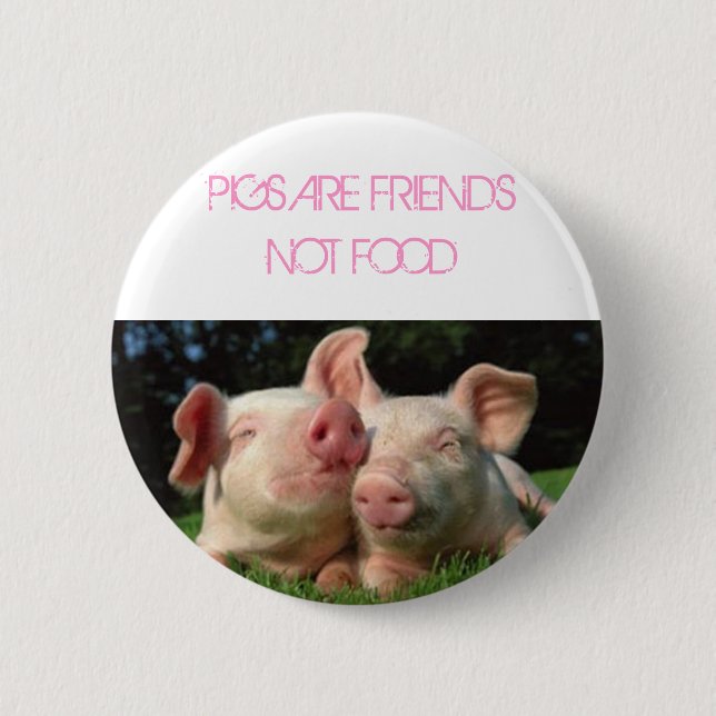 Schweine, SCHWEINE SIND FREUND-NICHT NAHRUNG Button (Vorderseite)