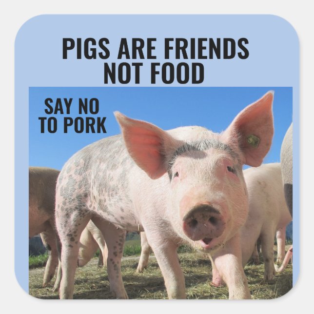 SCHWEINE SIND FREUNDE, NICHT LEBENSMITTEL - VEGANE QUADRATISCHER AUFKLEBER (Vorderseite)
