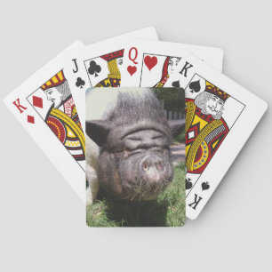 Schweine Spielkarten