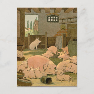 Schweine und Ferkel im Betrieb Postkarte