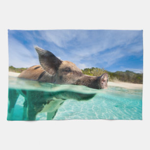 Schweine von Exuma Handtuch
