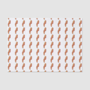 Schweinebauch-Taschentücher Seidenpapier