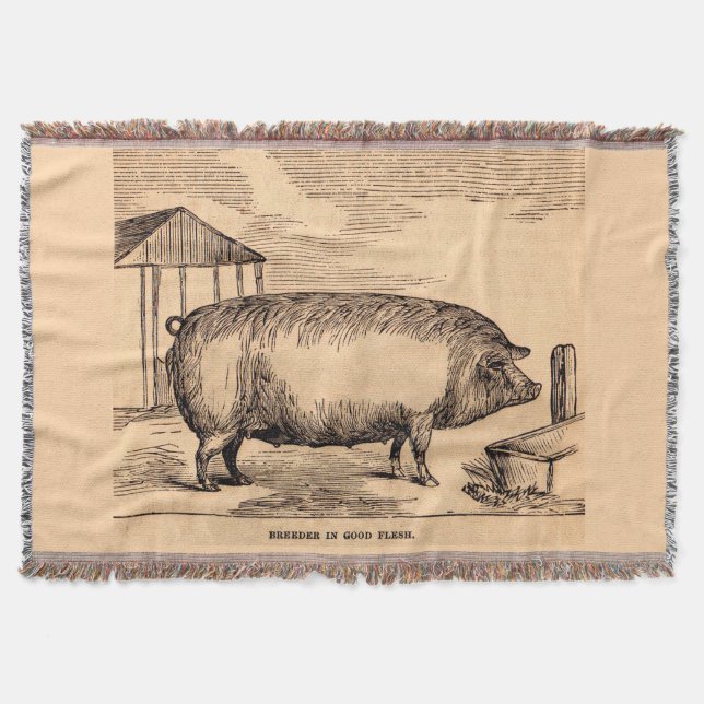 Schweinebruck aus dem 19. Jahrhundert "Züchter in  Decke (Vorderseite)