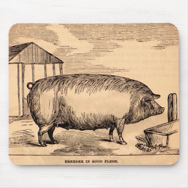 Schweinebruck aus dem 19. Jahrhundert "Züchter in  Mousepad (Vorne)