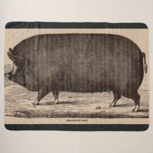 Schweinedruck Berkshire aus dem 19. Jahrhundert Nr Sherpadecke