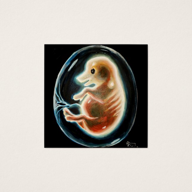 Schweineembryo (Vorderseite)