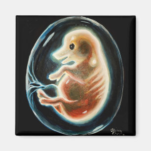 Schweineembryo Magnet