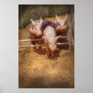 Schweinefleisch - Hürden überwinden Poster