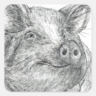 Schweinefleisch Quadratischer Aufkleber