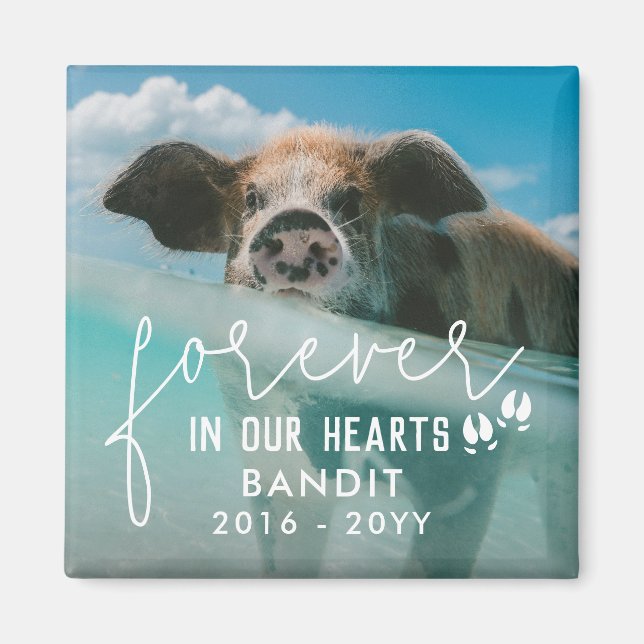 Schweinefutter für immer in unserem Herzen Schwein Magnet (Vorne)