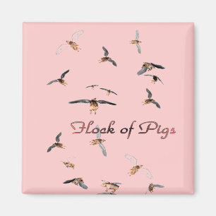 Schweineherde Magnet