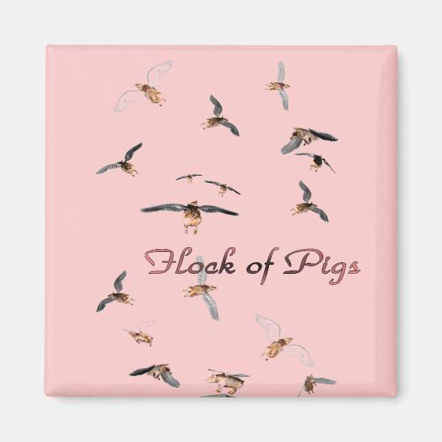 Schweineherde Magnet (Vorne)