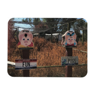 Schweinekanne, Schweine, Idaho Gewitzte Zeichen Magnet