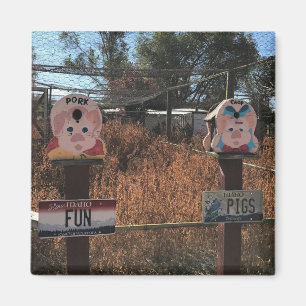 Schweinekanne, Schweine, Idaho Gewitzte Zeichen Magnet
