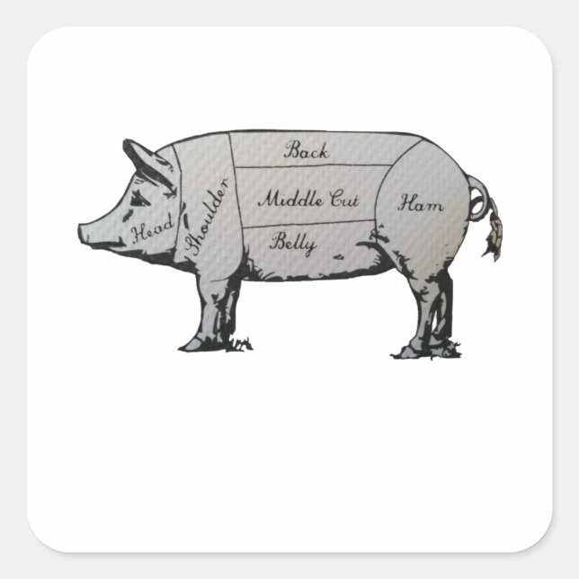 Schweinekarte Quadratischer Aufkleber (Vorderseite)