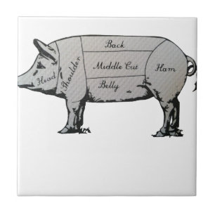 Schweineklasse Fliese