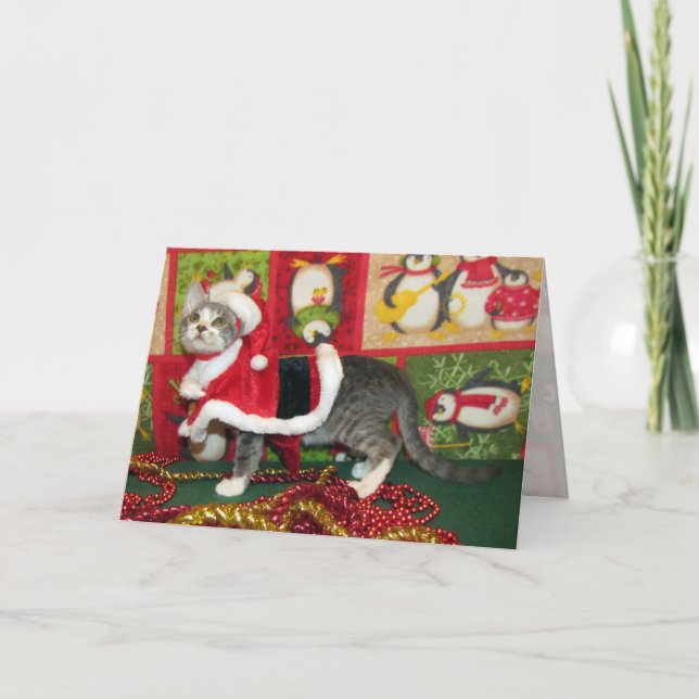 Schweinekochen als Weihnachtsmäntel - Katze / Kätz Feiertagskarte (Vorderseite)