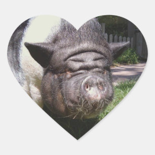 Schweineschrift Herz-Aufkleber
