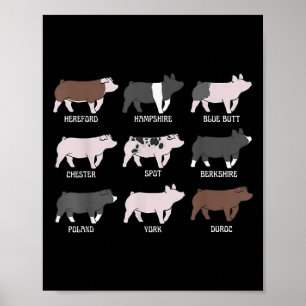Schweinezucht Schweinefleisch Schweinefleisch Schw Poster