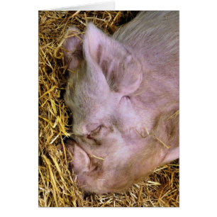 SCHWEINKARTE