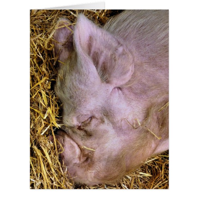 SCHWEINKARTE (Vorderseite)