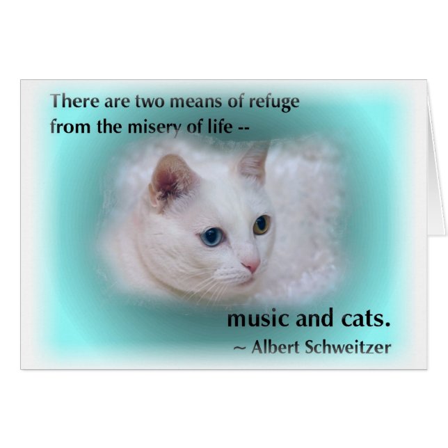 Schweitzer-Katze (Vorderseite (Horizontal))