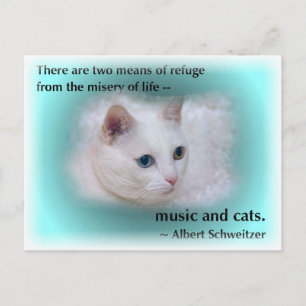 Schweitzer-Katze Postkarte