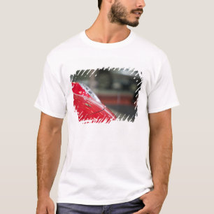 SCHWEIZ, GENF: 75. Genfer Auto 2 T-Shirt