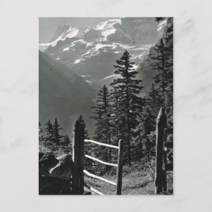 Schweiz Jungfrau, Berner Oberland Vintage Postkarte