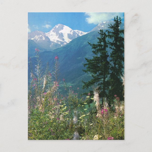 Schweiz, Jungfrau Region im Frühjahr Postkarte (Vorderseite)