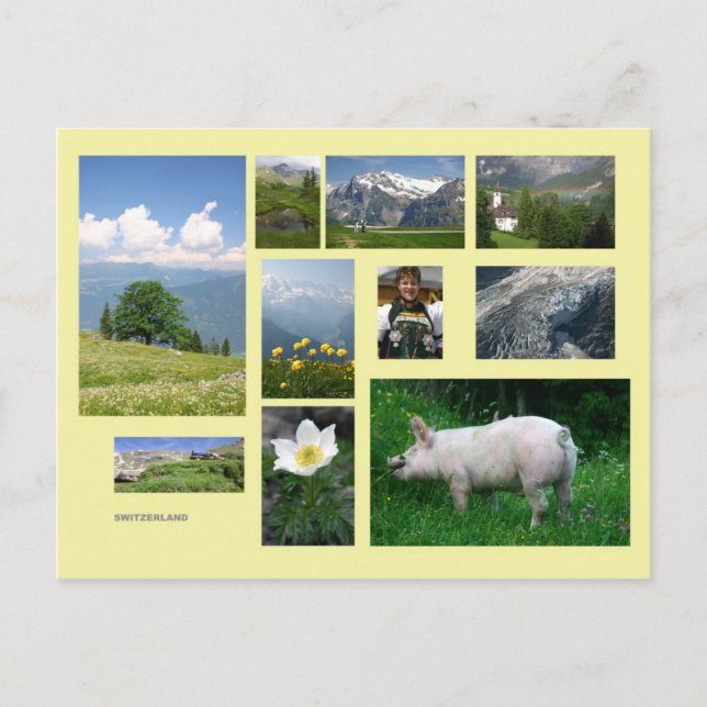 Schweiz Postkarte (Vorderseite)