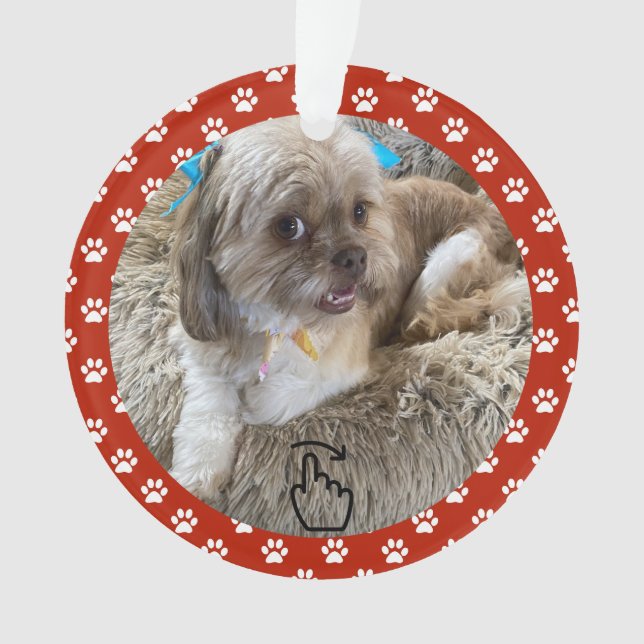 SCHWEIZ RECHTS - Siehe Zurück ... Ornament (Vorderseite)