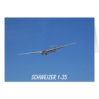 Schweizer 1-35 Gleiter