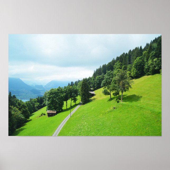 Schweizer Alpen im Sommer Poster (Vorne)