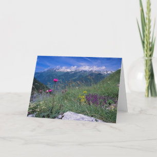 Schweizer Alpenkarte Karte