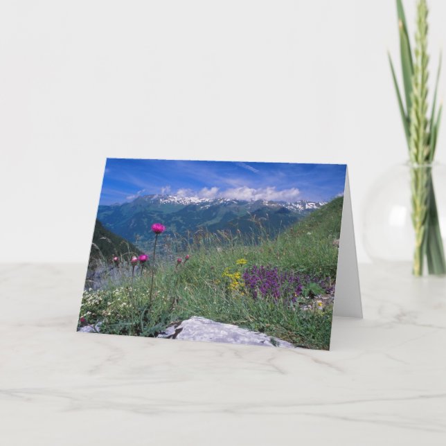 Schweizer Alpenkarte Karte (Vorderseite)